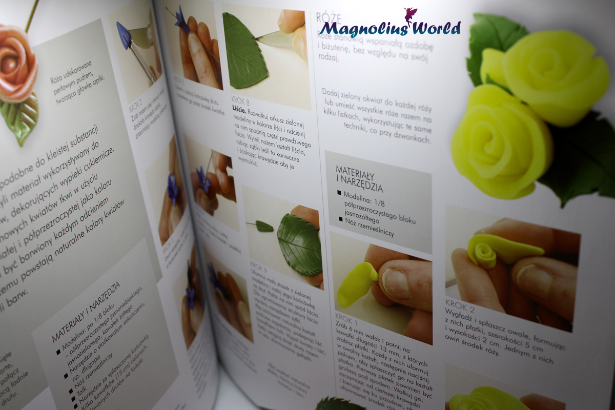 Skąd czerpać wiedzę na temat&nbsp;modeliny?